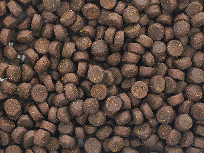 Dry kibble food