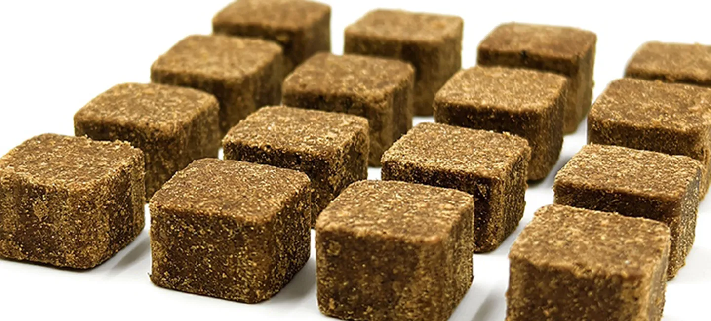 Pet health product.webp