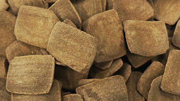 Shrimp and crab feed